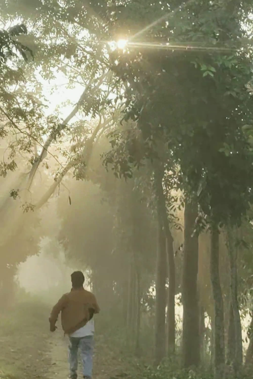 The still that carried "the path bends out of sight"