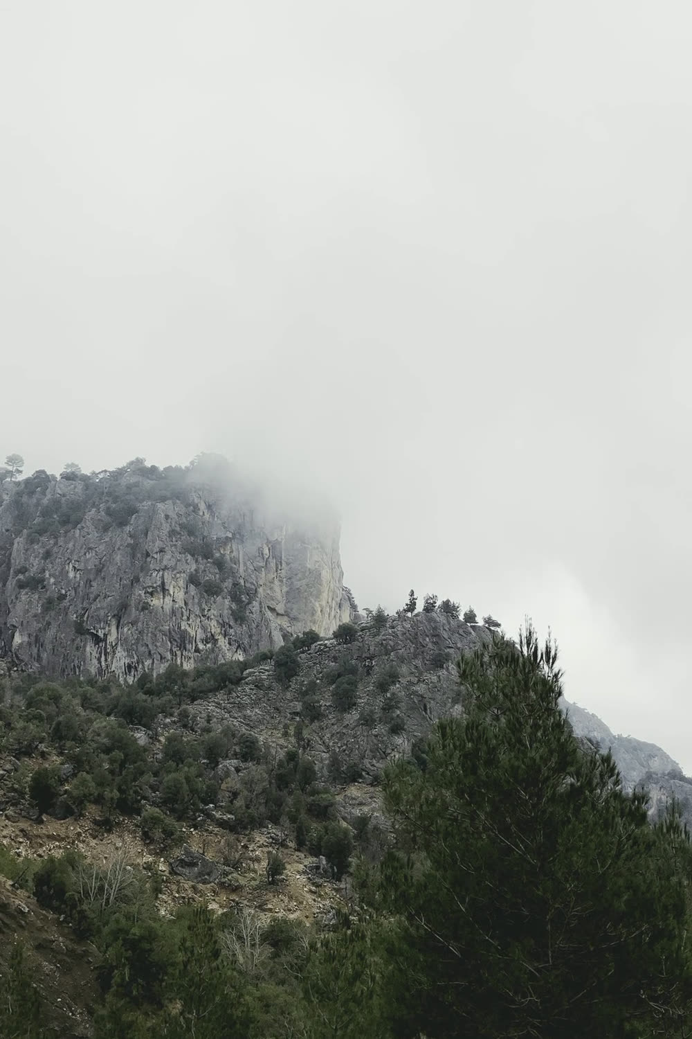 The still that carried "the ridge you keep checking"
