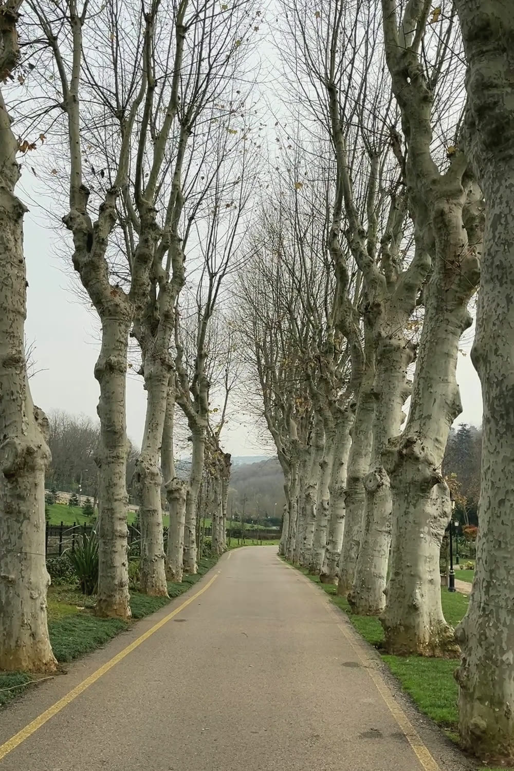 The still that carried "you slow down near the end"